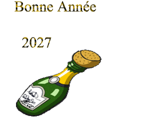 Gif animé bonne année 2027